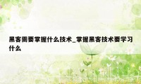 黑客需要掌握什么技术_掌握黑客技术要学习什么