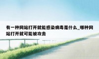 有一种网站打开就能感染病毒是什么_哪种网站打开就可能被攻击