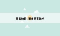 黑客较件_更多黑客技术
