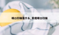 端口扫描是什么_家庭端口扫描