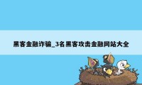 黑客金融诈骗_3名黑客攻击金融网站大全