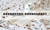 黑客菜霸追款可靠吗_黑客菜霸现在美国干什么