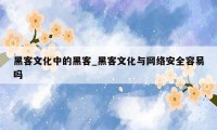 黑客文化中的黑客_黑客文化与网络安全容易吗