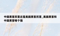 中国黑客厉害还是美国黑客厉害_美国黑客和中国黑客哪个强