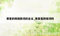 黑客的网络新词的含义_黑客是网络词吗