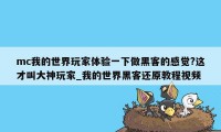 mc我的世界玩家体验一下做黑客的感觉?这才叫大神玩家_我的世界黑客还原教程视频