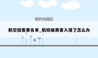 航空旅客黑名单_航班被黑客入侵了怎么办