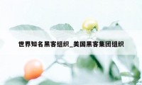 世界知名黑客组织_美国黑客集团组织