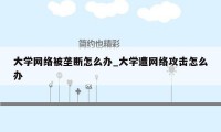 大学网络被垄断怎么办_大学遭网络攻击怎么办