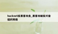 hacknet反黑客攻击_黑客攻破反兴奋组织网络