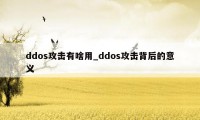 ddos攻击有啥用_ddos攻击背后的意义