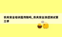农夫安全培训是传销吗_农夫安全渗透测试第三季
