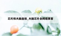 芯片和大脑连接_大脑芯片会网络黑客