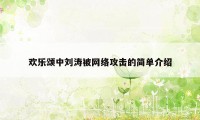 欢乐颂中刘涛被网络攻击的简单介绍