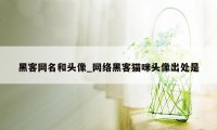 黑客网名和头像_网络黑客猫咪头像出处是