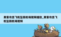 黑客攻击飞机坠毁机场视频播放_黑客攻击飞机坠毁机场视频