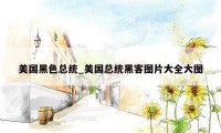 美国黑色总统_美国总统黑客图片大全大图