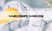 fofa端口扫描原理_fofa端口扫描