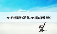 app的渗透测试实例_app接口渗透测试