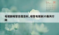 电视剧暗警百度百科_暗警电视剧35集风行网