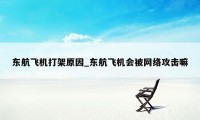 东航飞机打架原因_东航飞机会被网络攻击嘛