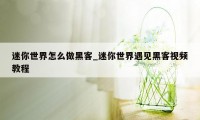 迷你世界怎么做黑客_迷你世界遇见黑客视频教程