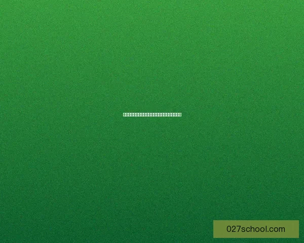 火炬之光联机合作探险揭秘与最强阵容搭配策略分享